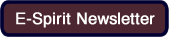 E-Spirit newsletter